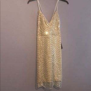 Stunning Sequin Dress from LuLus